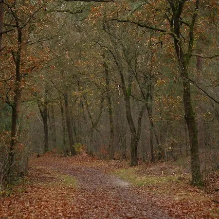 In Near Veluwe, Cleaning Included Hébergement de vacances *