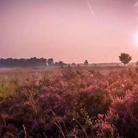 In Near Veluwe, Cleaning Included *
