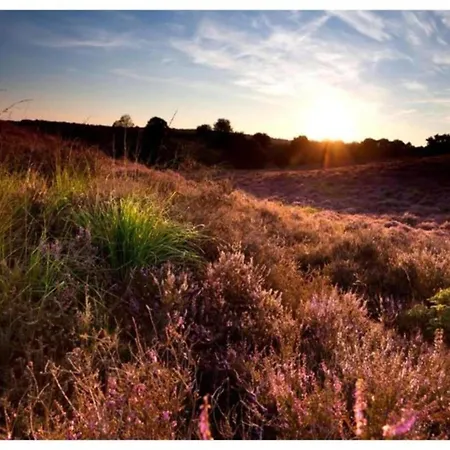 In Near Veluwe, Cleaning Included Hébergement de vacances Voorthuizen
