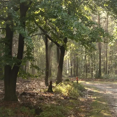 In Near Veluwe, Cleaning Included Voorthuizen