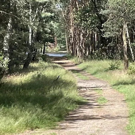 In Near Veluwe, Cleaning Included