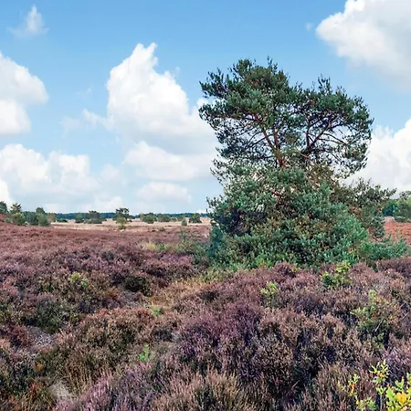 Hébergement de vacances In Near Veluwe, Cleaning Included Voorthuizen