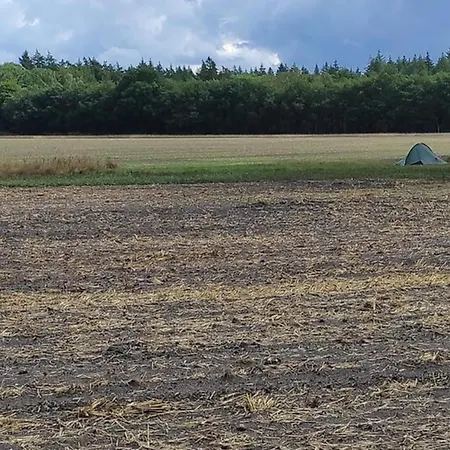 Hébergement de vacances In Near Veluwe, Cleaning Included